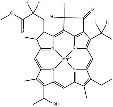 CasImg