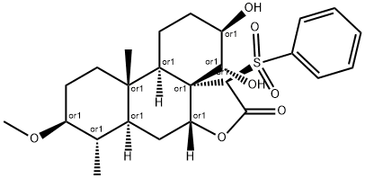CasImg