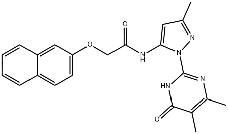 CasImg