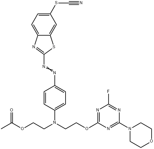 CasImg