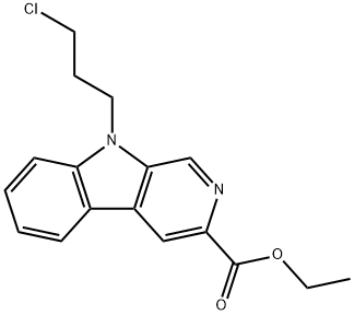 CasImg