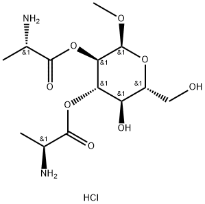 CasImg