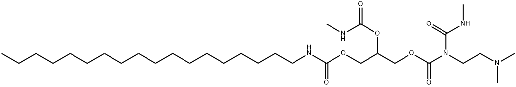 CasImg