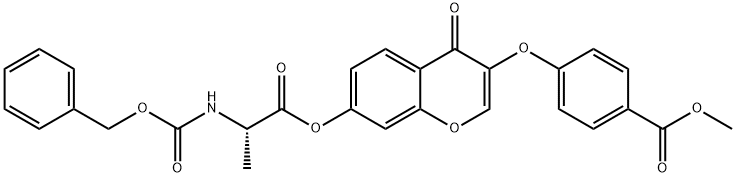 CasImg