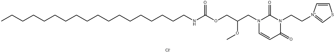 CasImg