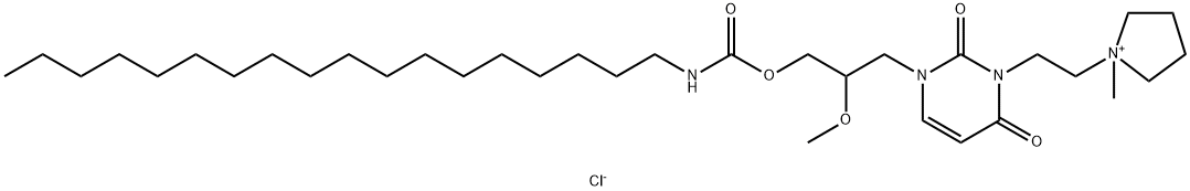 CasImg
