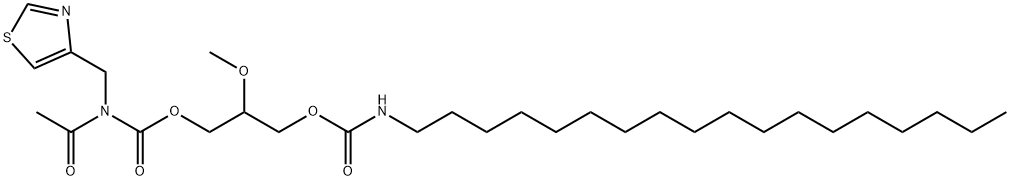 CasImg