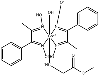 CasImg