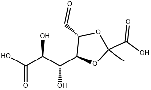 CasImg