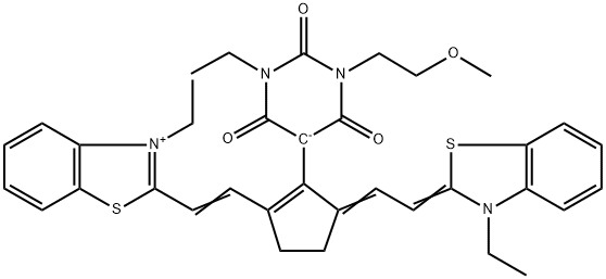 CasImg