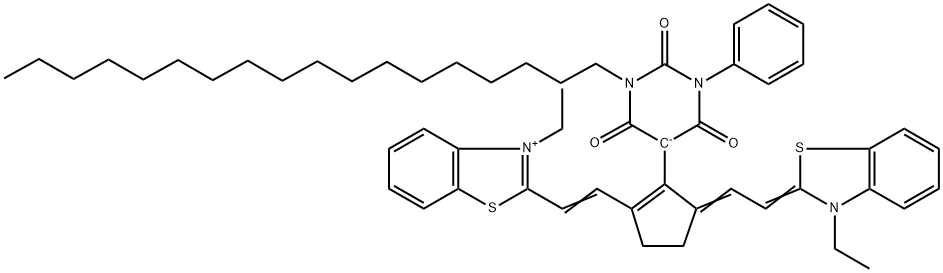 CasImg