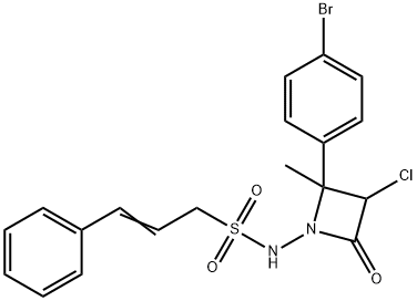 CasImg