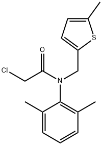 CasImg