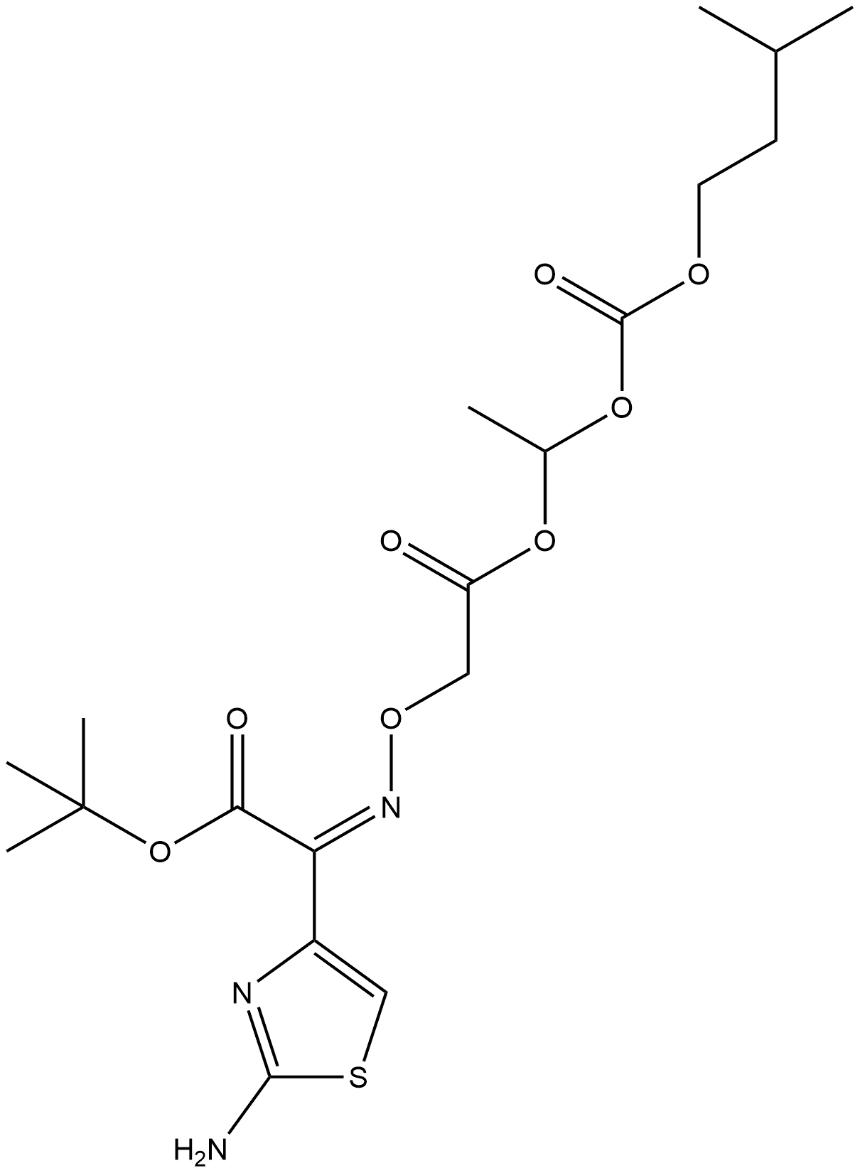 CasImg