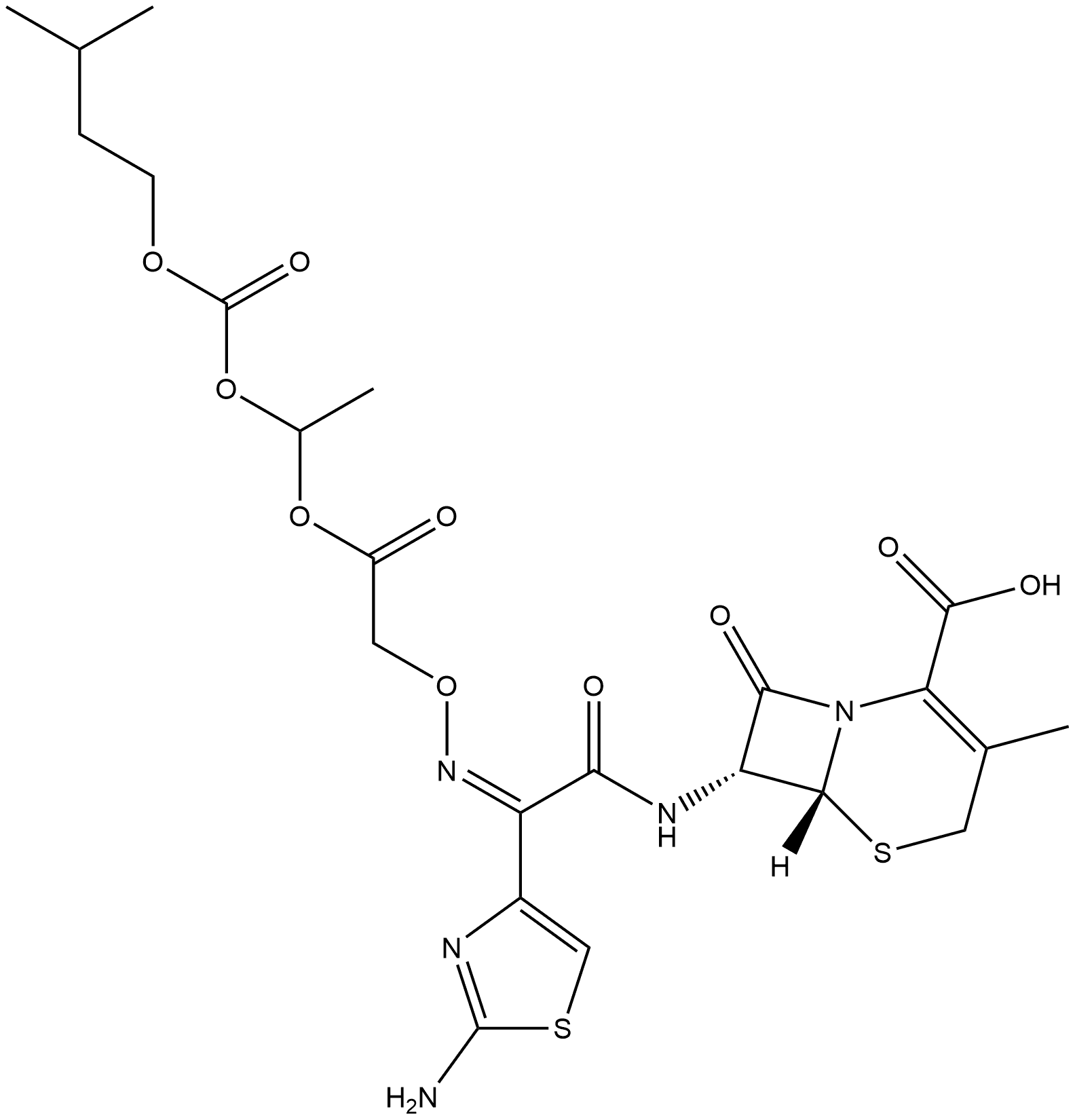 CasImg