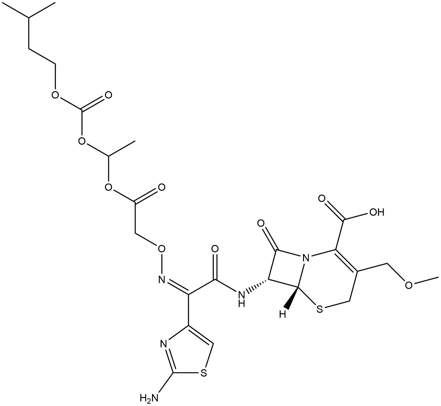 CasImg