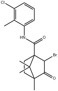 CasImg