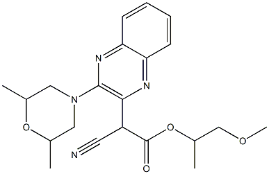CasImg