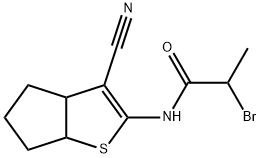CasImg
