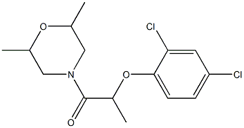 CasImg