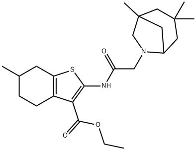 CasImg