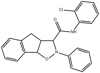 CasImg