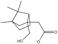 CasImg