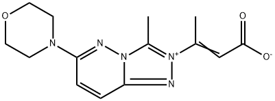 CasImg