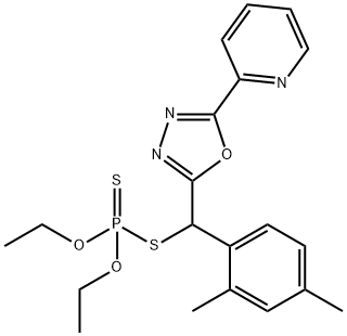 CasImg