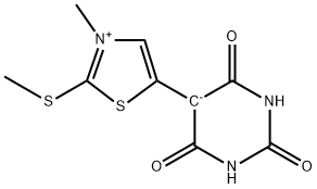 CasImg