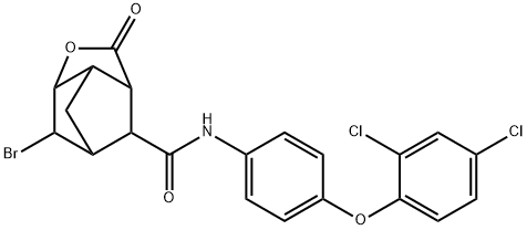 CasImg