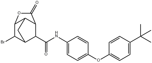 CasImg