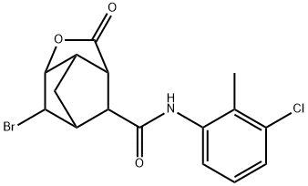 CasImg