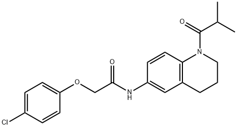 CasImg