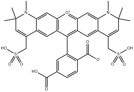 CasImg