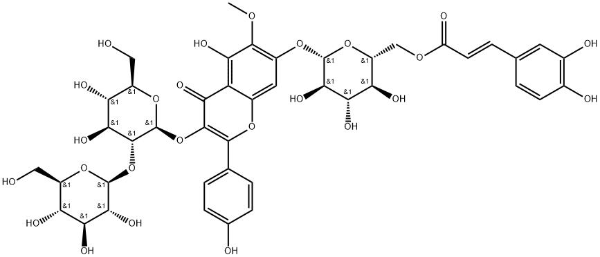 CasImg