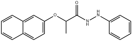 CasImg