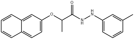 CasImg