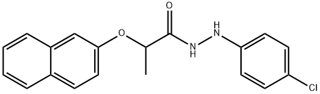 CasImg