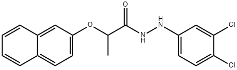 CasImg
