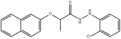 CasImg