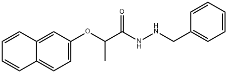 CasImg