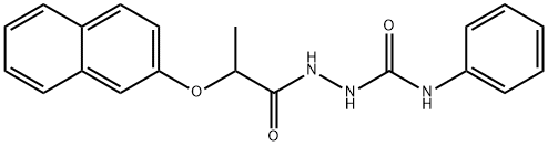 CasImg