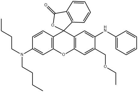 CasImg