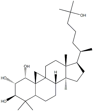 CasImg