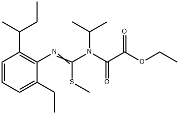CasImg