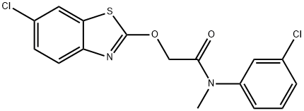 CasImg