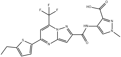 CasImg