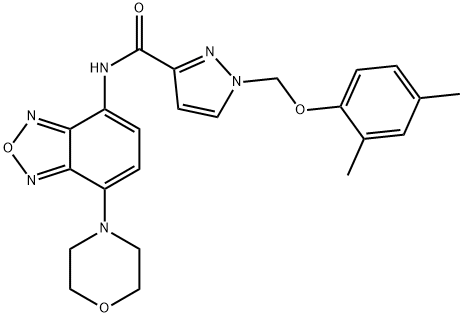 CasImg