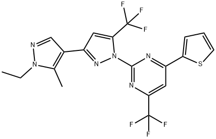 CasImg